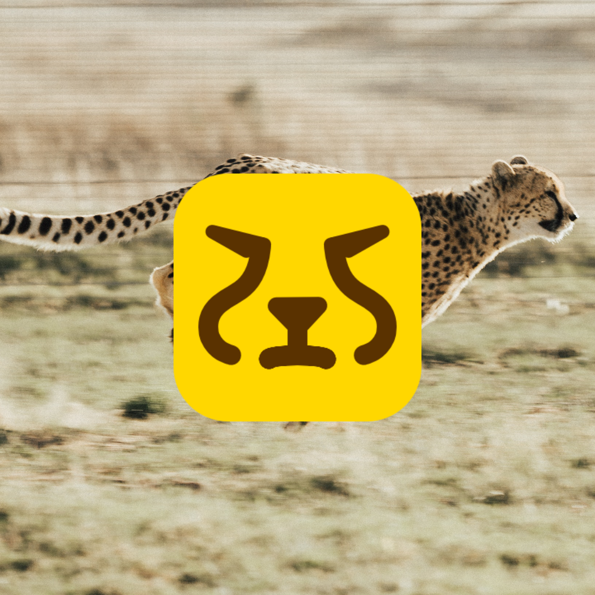 Cheetah Note Image