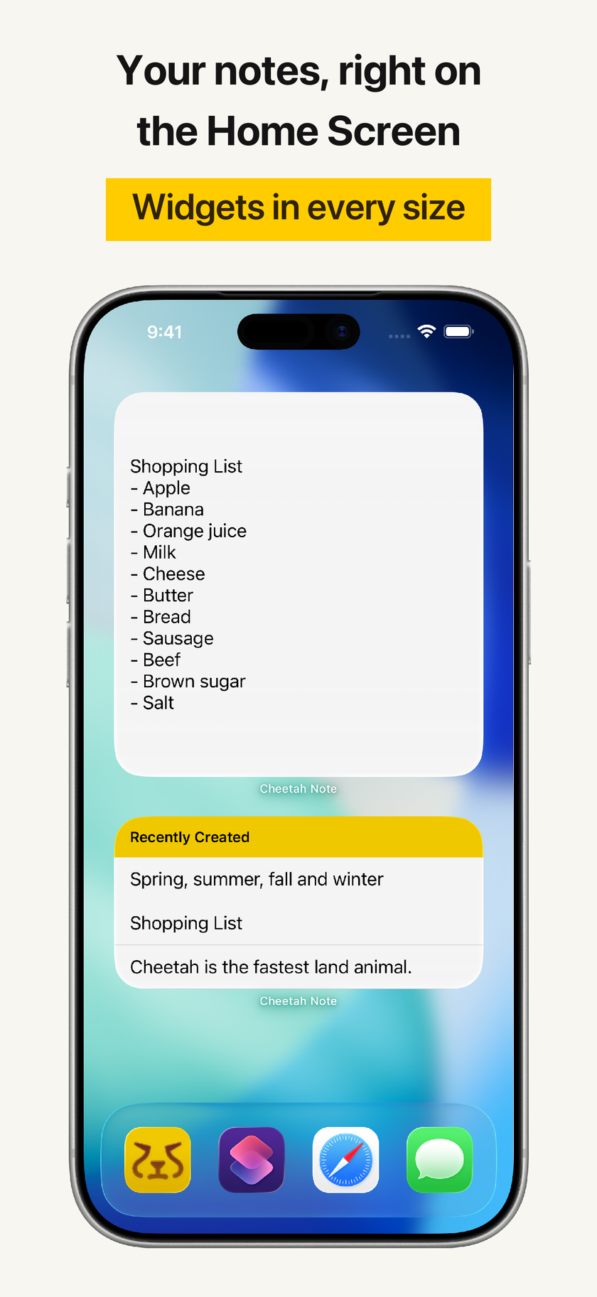 Home Screen Widgets