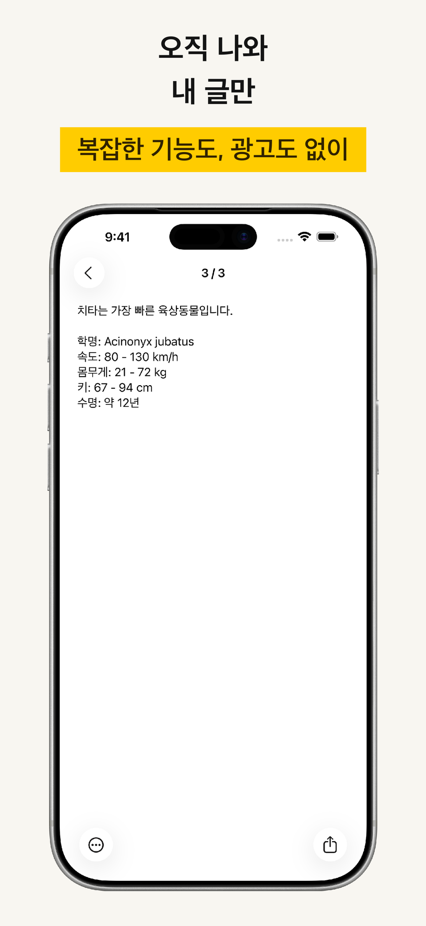 집중 환경